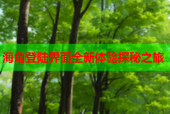 海角登陆界面全新体验探秘之旅