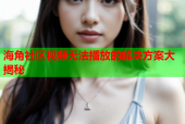 海角社区视频无法播放的解决方案大揭秘