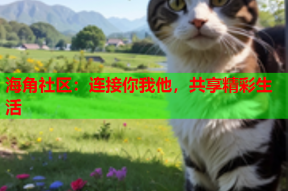 海角社区：连接你我他，共享精彩生活