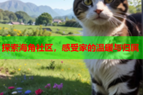 探索海角社区，感受家的温暖与归属
