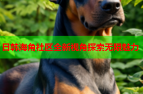 日韩海角社区全新视角探索无限魅力