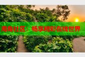 海角社区：畅享精彩在线世界
