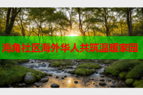 海角社区海外华人共筑温暖家园