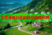探索海角社区的独特视频世界