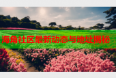 海角社区最新动态与地址揭秘