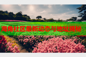 海角社区最新动态与地址揭秘