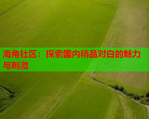 海角社区：探索国内精品对白的魅力与刺激  第1张