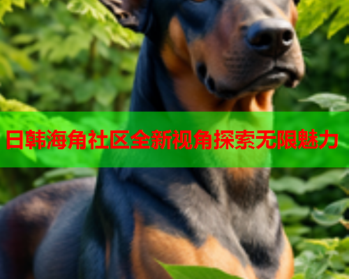 日韩海角社区全新视角探索无限魅力  第1张
