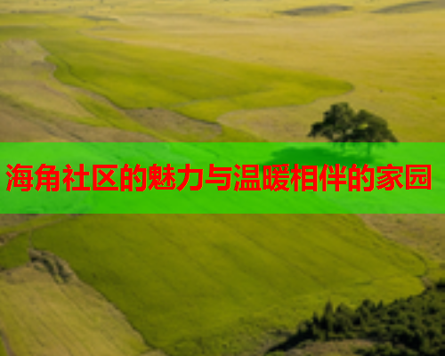 海角社区的魅力与温暖相伴的家园  第1张