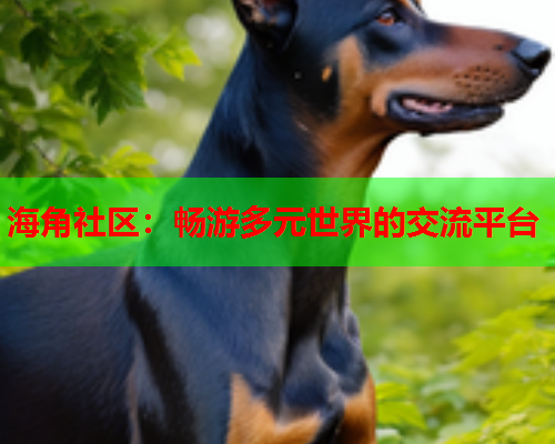 海角社区：畅游多元世界的交流平台  第1张