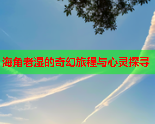 海角老湿的奇幻旅程与心灵探寻  第2张