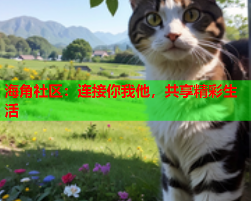 海角社区：连接你我他，共享精彩生活  第1张