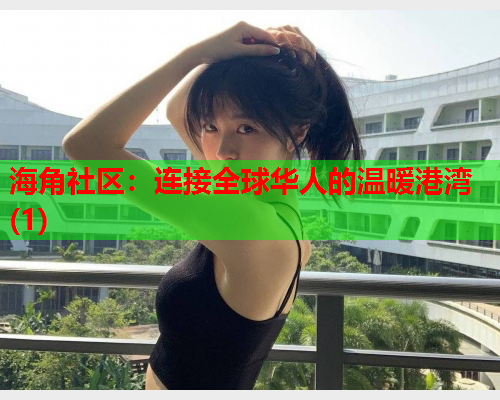 海角社区：连接全球华人的温暖港湾(1)  第1张
