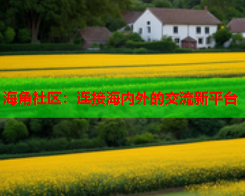 海角社区：连接海内外的交流新平台  第2张